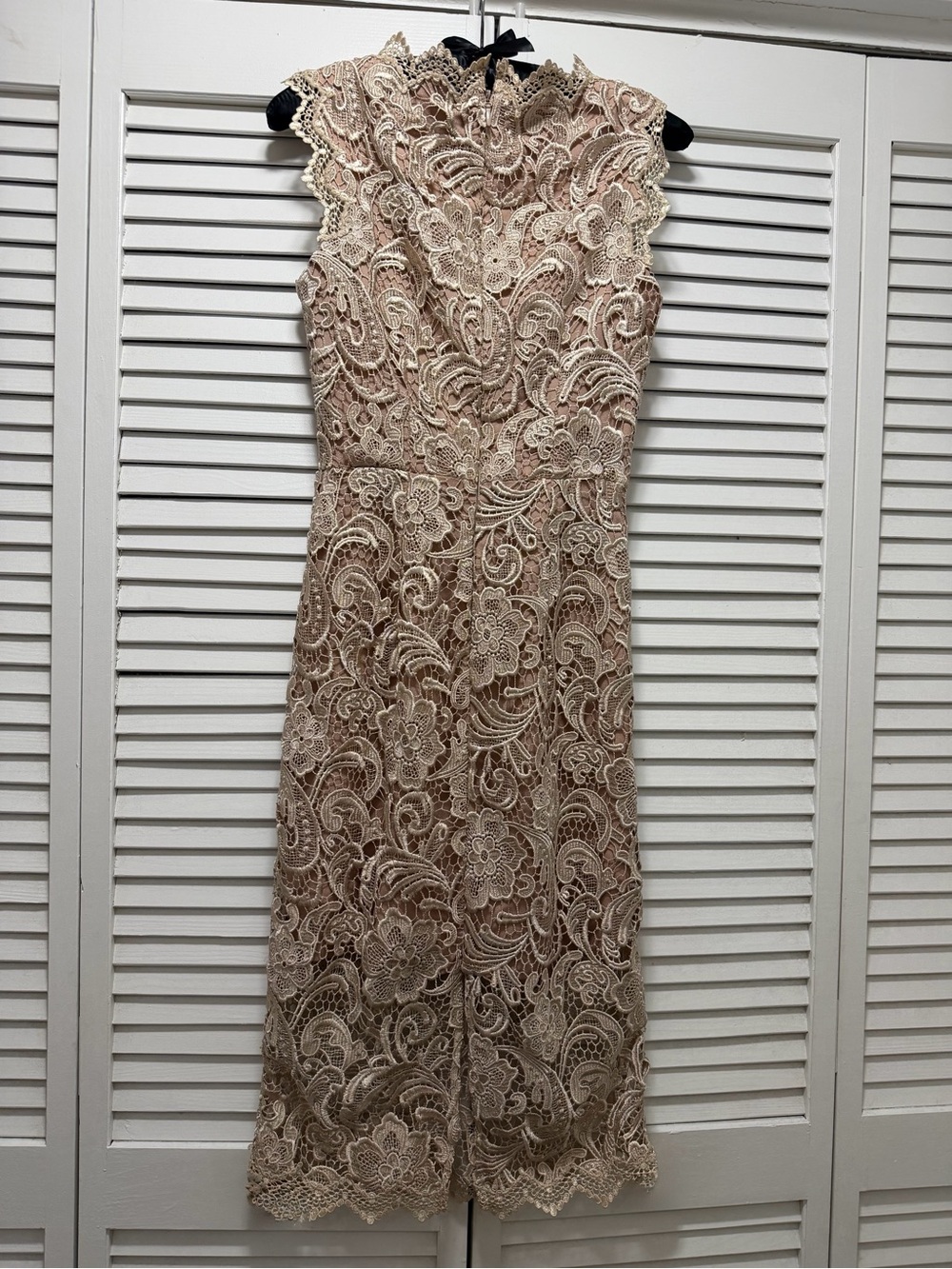 Dress the Population Beige Lace Midi Dress - Picture 5 of 16
